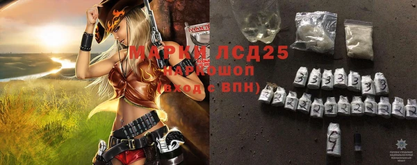 шишки Арсеньев