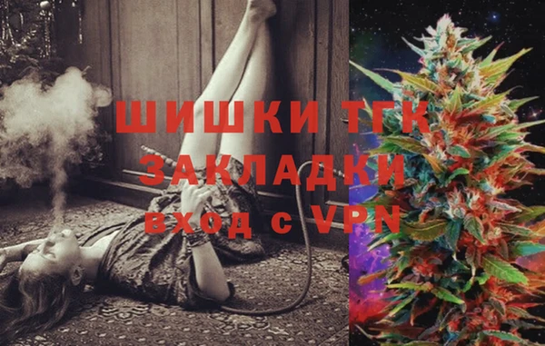 шишки Арсеньев
