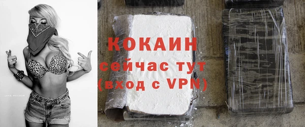 амф Анива