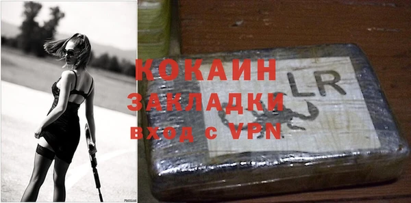 шишки Арсеньев