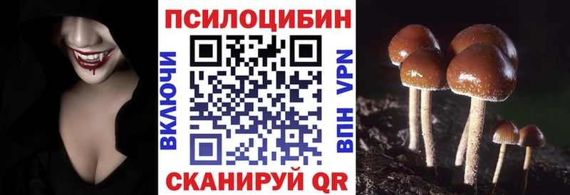 ОМГ ОМГ   Карачев  Псилоцибиновые грибы мухоморы 